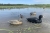 Чучело Лысухи MOJO® Coot Confidence Decoys (6-pack)
